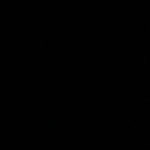 Meet your Posher, Zoey